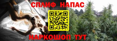 бошки Тара