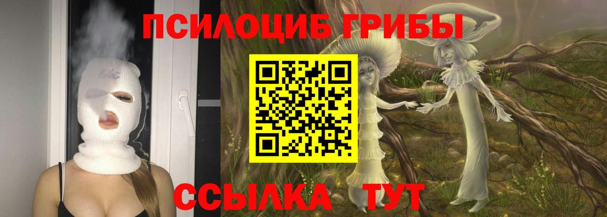 Галлюциногенные грибы Magic Shrooms  Галлюциногенные грибы Psilocybe  Вход с VPN  Новотроицк 
